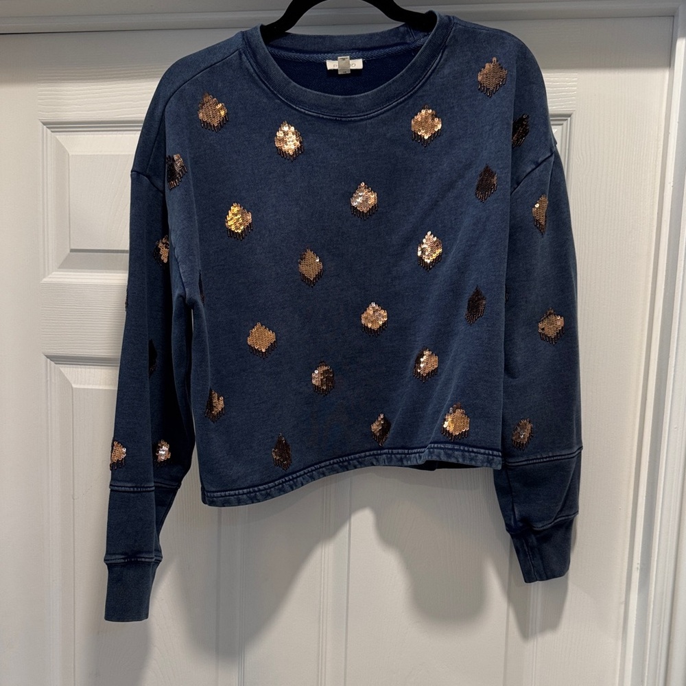 Pilcro Blue Sweatshirt with Bronze Sequin Accents